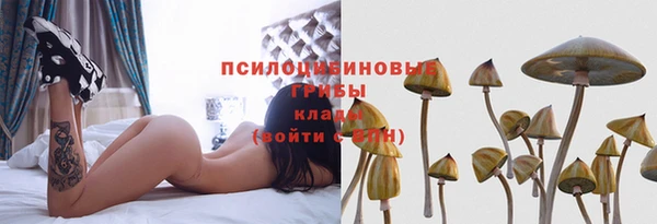 экстази Баксан