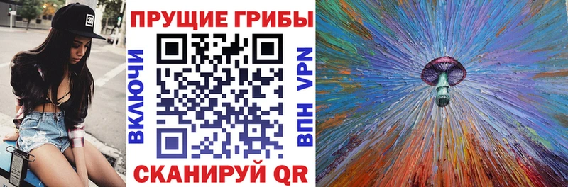 Псилоцибиновые грибы ЛСД Купить закладки Малоярославец